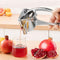 Hand Press Metal Lime Juicer Aluminium Manual Fruit Juicer Orange Juicer